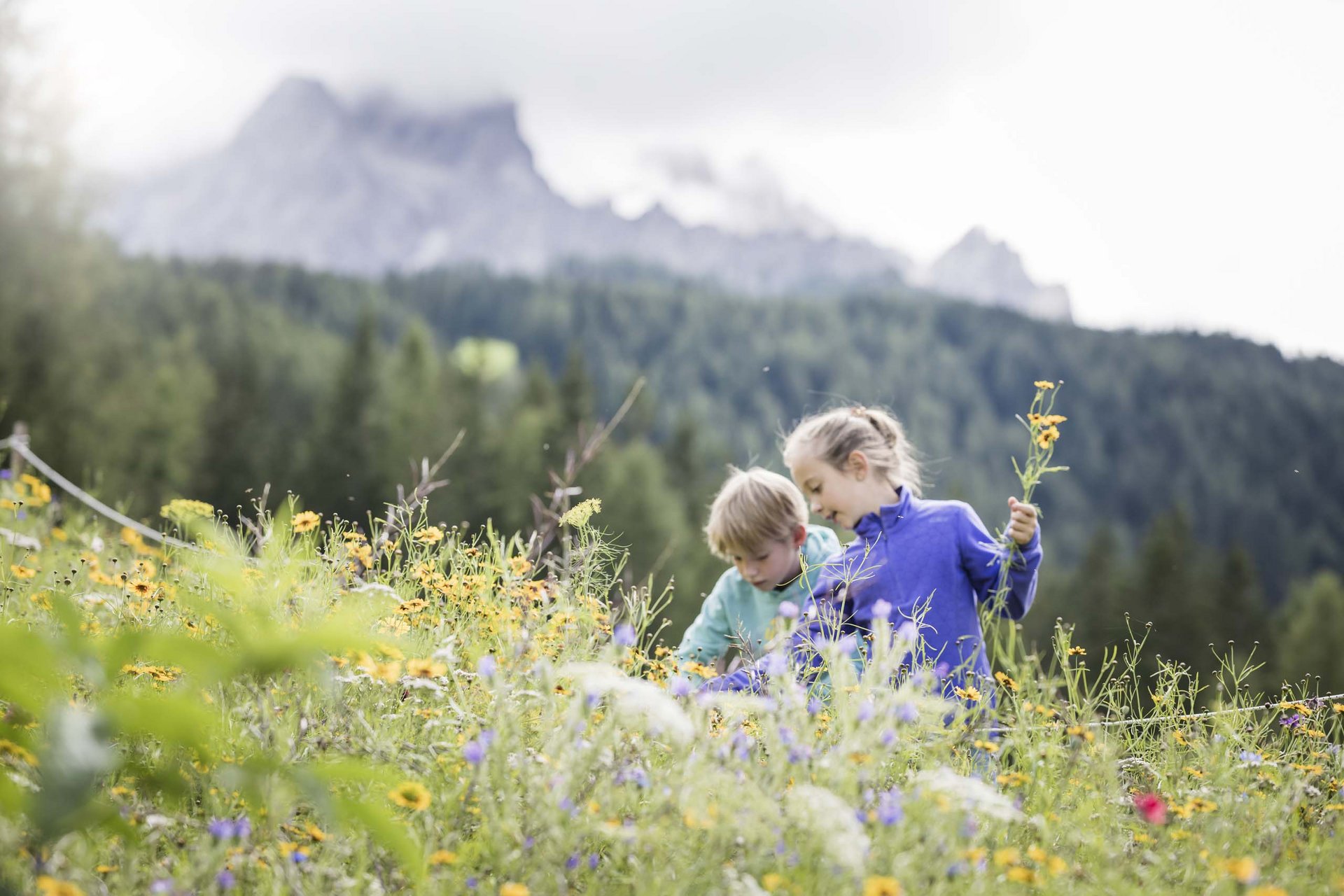 Experience exciting adventures with Raini! Two children picking flowers in a colorful mountain meadow