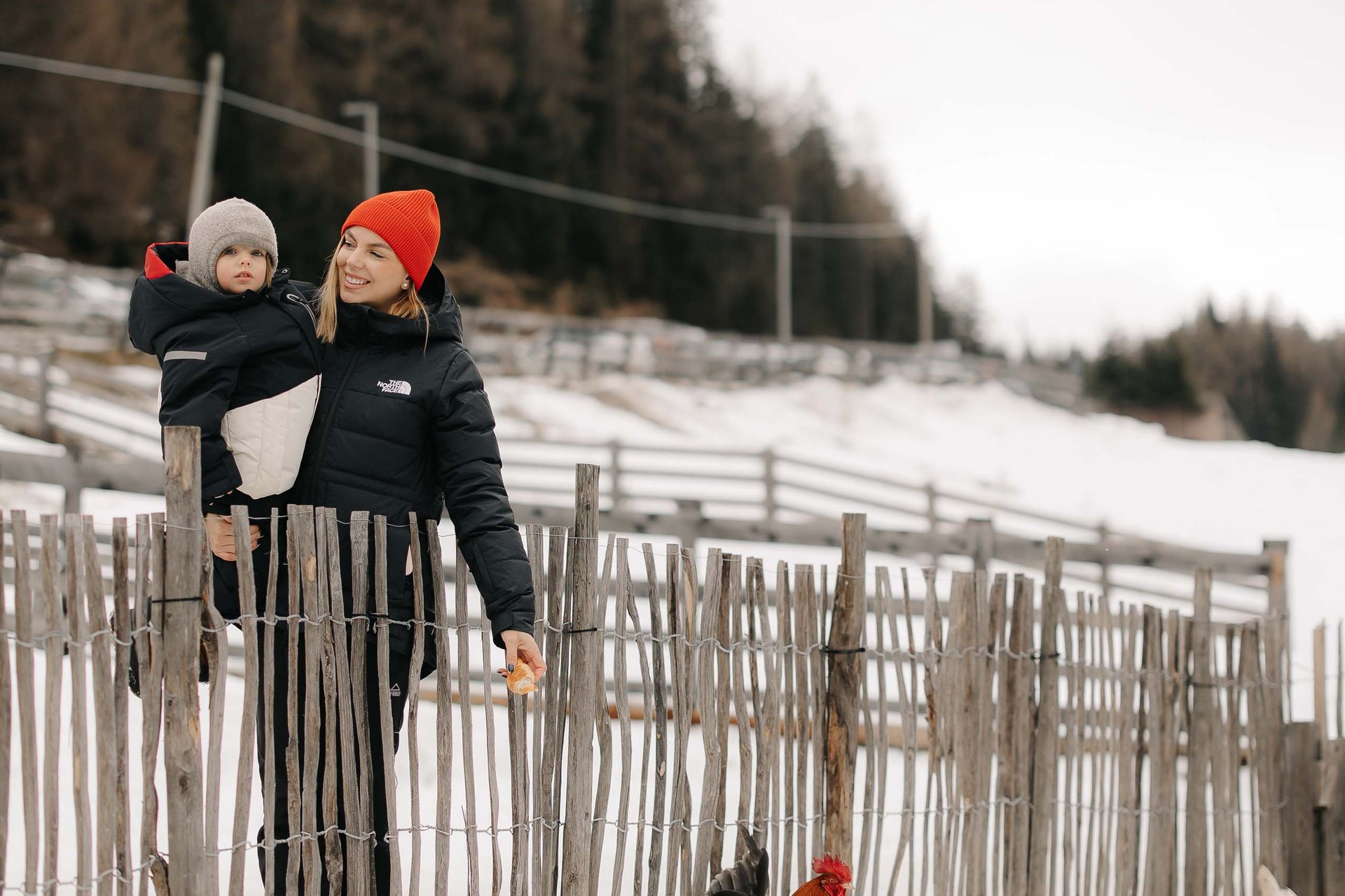 Your family resort in the Dolomites Woman holding child near fence in snow watching chickens on farm