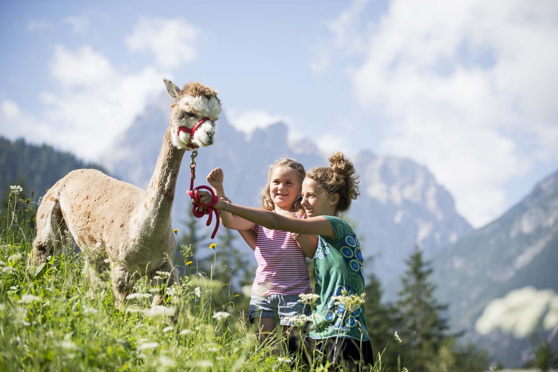 Your family resort in the Dolomites Your family resort in the Dolomites
